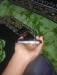 Redmi 12c